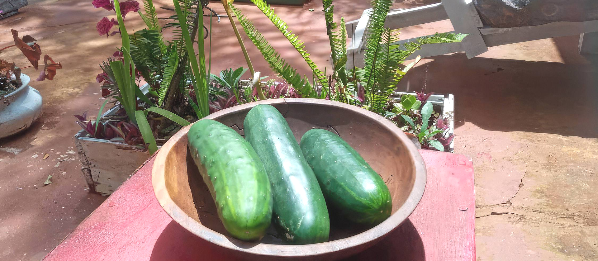 Fresh from Our Farm